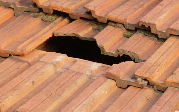 roof repair Fernie, Fife